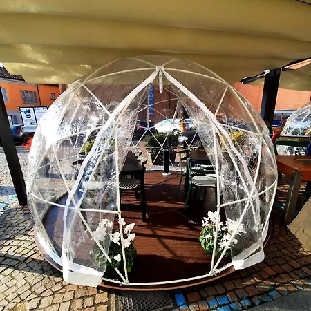 B&B Vinoteca La Sacrestia 알바