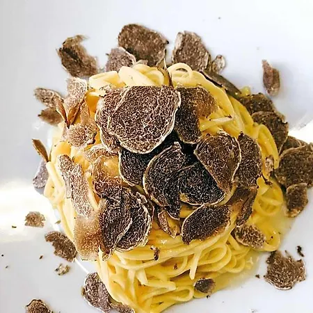 Nocleg ze śniadaniem Vinoteca La Sacrestia Alba (Piedmont)
